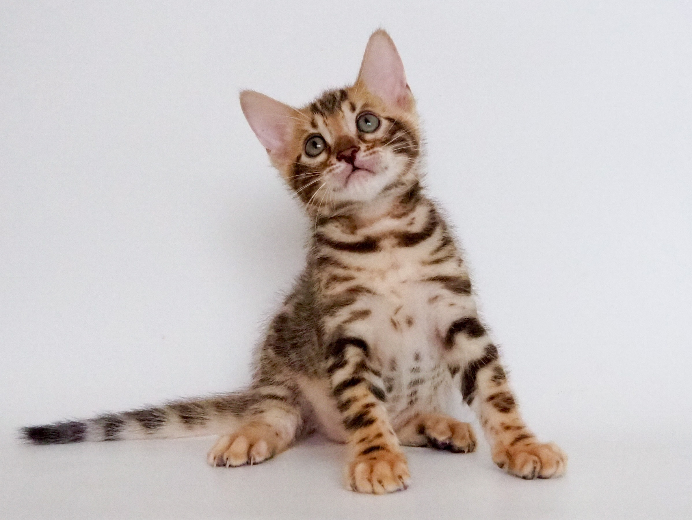 94D3FB7E-EB48-4975-A404-A5F85C3B1B46