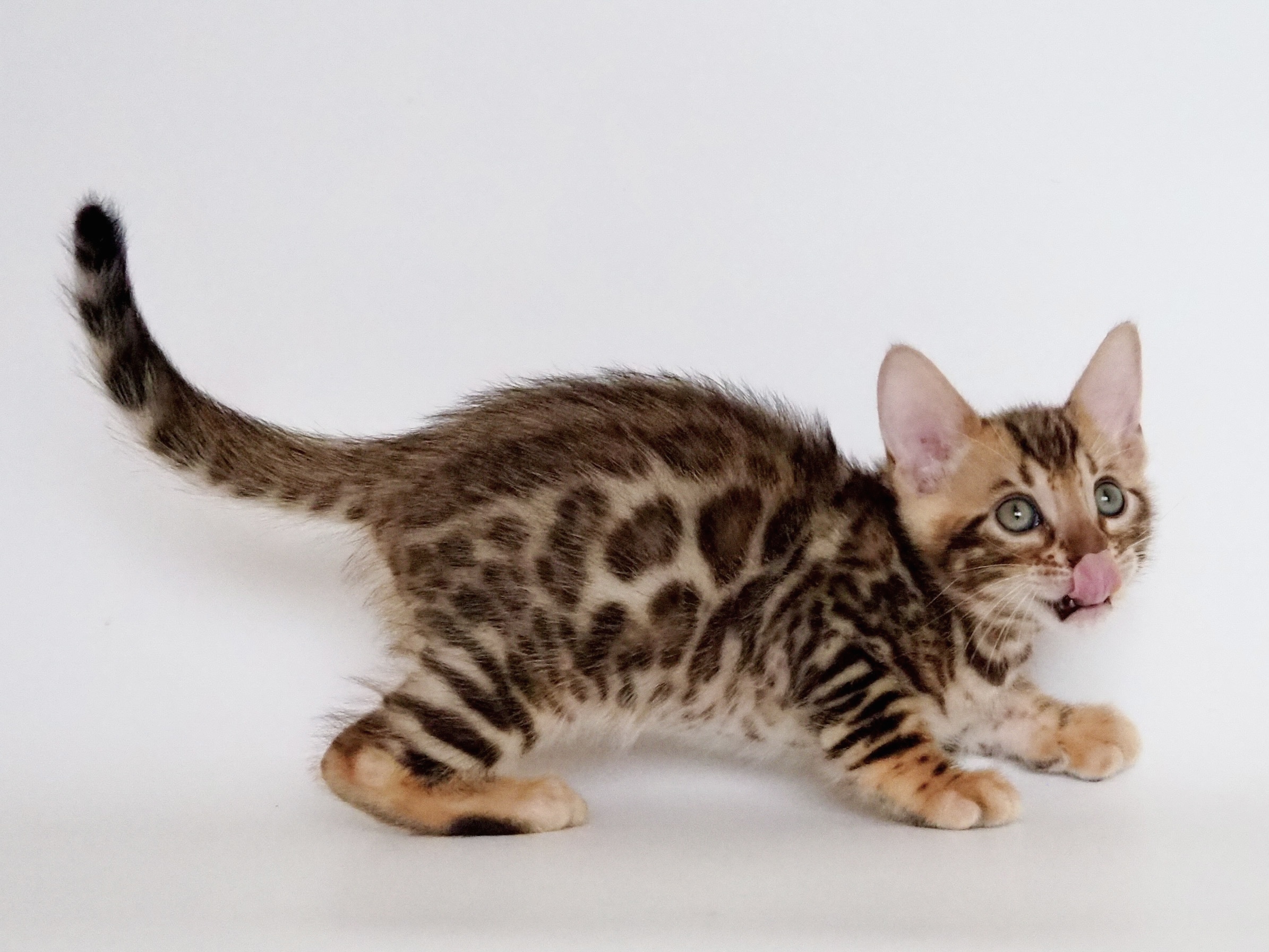 E2D23B9B-D5AF-465D-9EFE-3DD82439B663