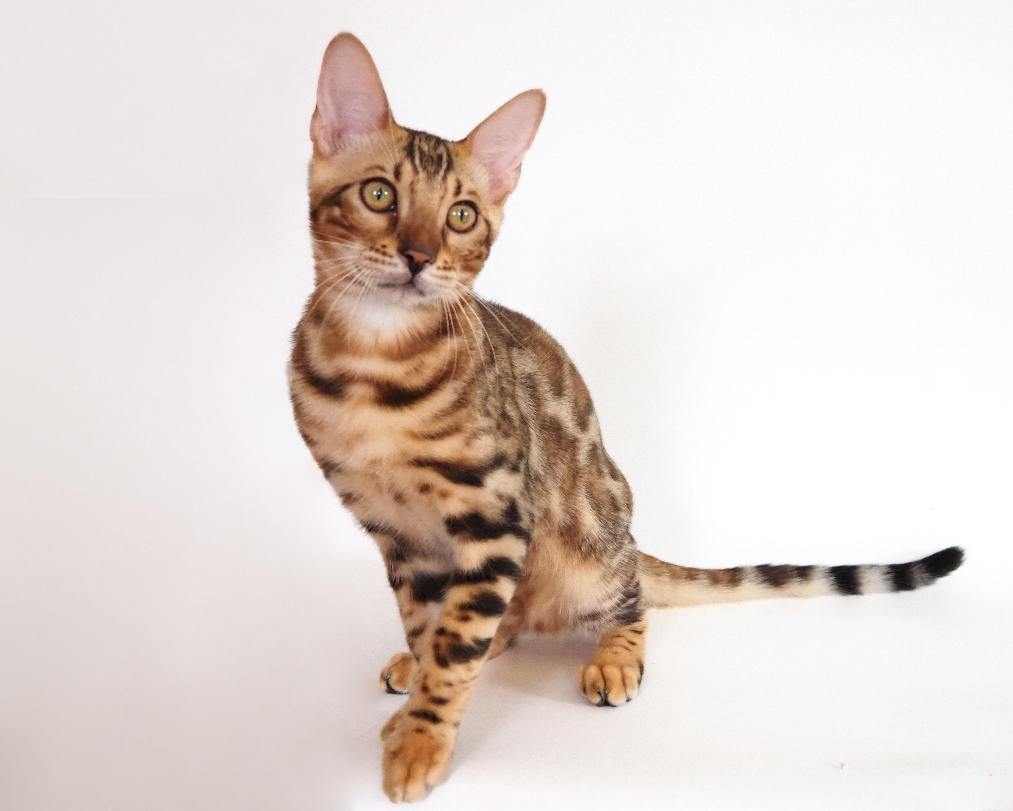 EC268655-FC91-4D75-92A5-AEA145B78998