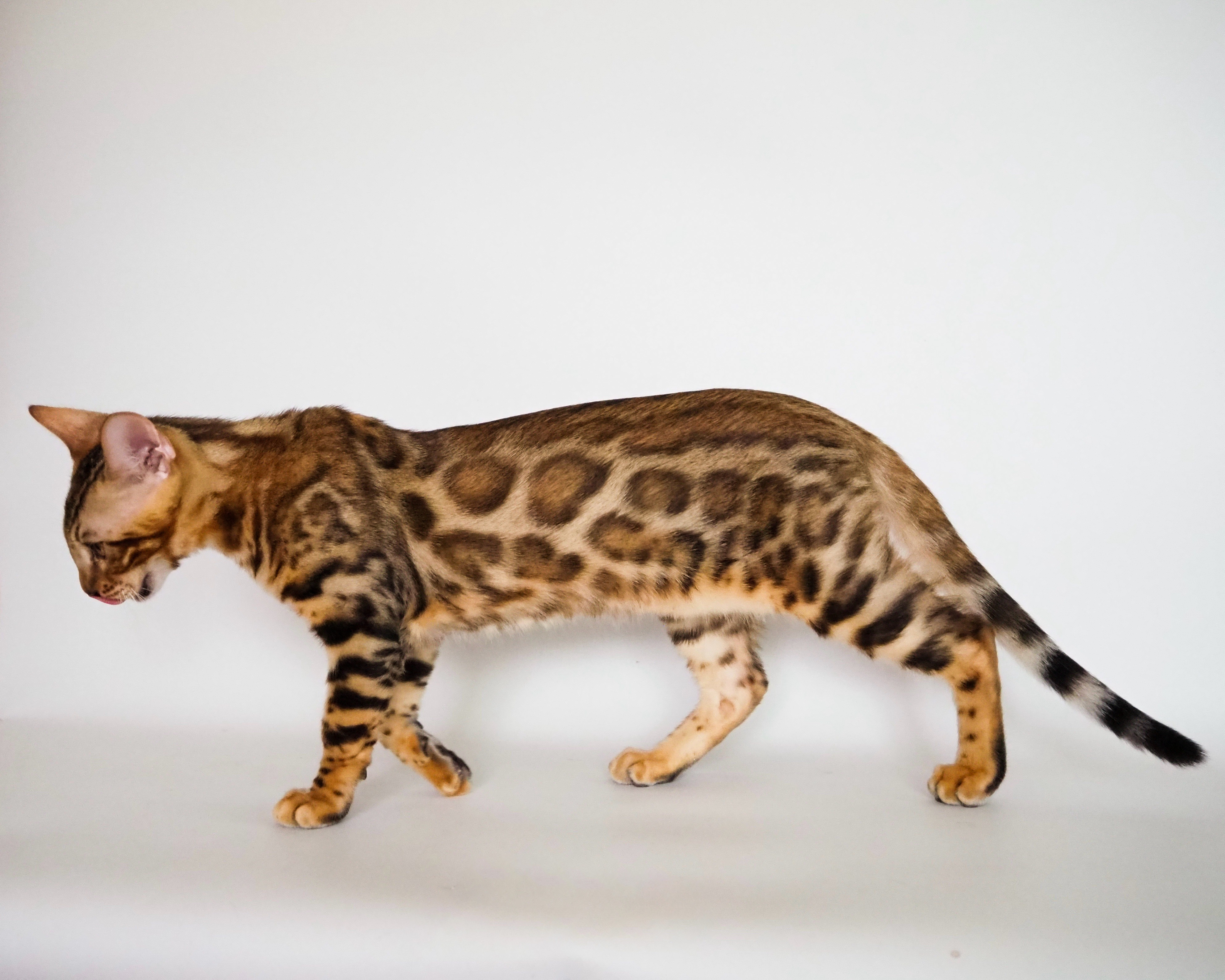 2787F921-E716-433C-9D39-6E44B786AF22