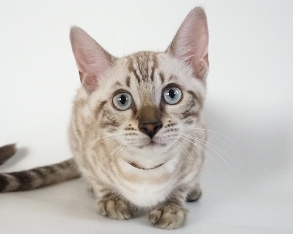 172983343170107_コピー