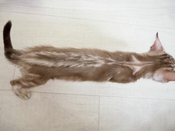 172646073102407_コピー