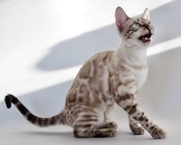 s173519232083607_コピー