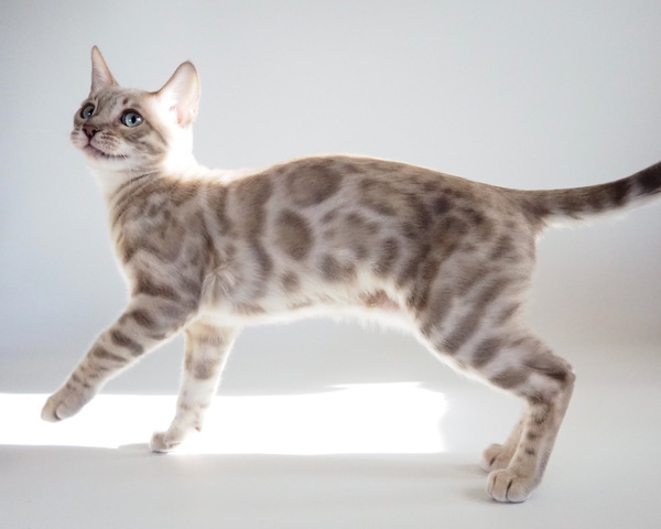 173519531995001_コピー