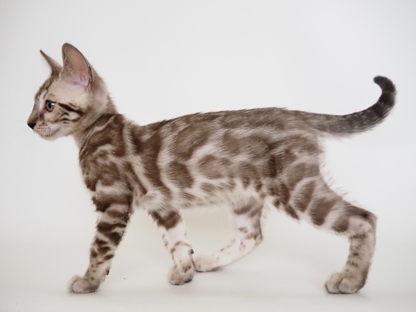 172585904602704_コピー