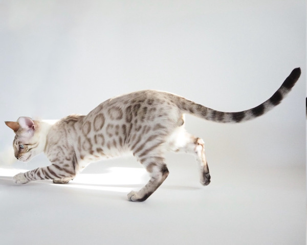 173519225214010_コピー