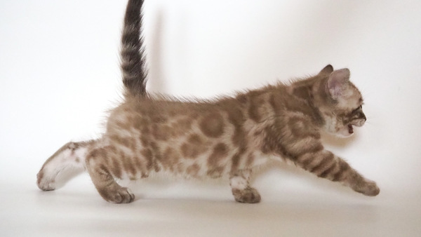 DA92941F-FADC-4347-B40A-64295602DC79_コピー