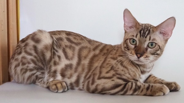 1722DD8E-2AFF-4EA2-B2C6-F38FE1A08AB6_コピー