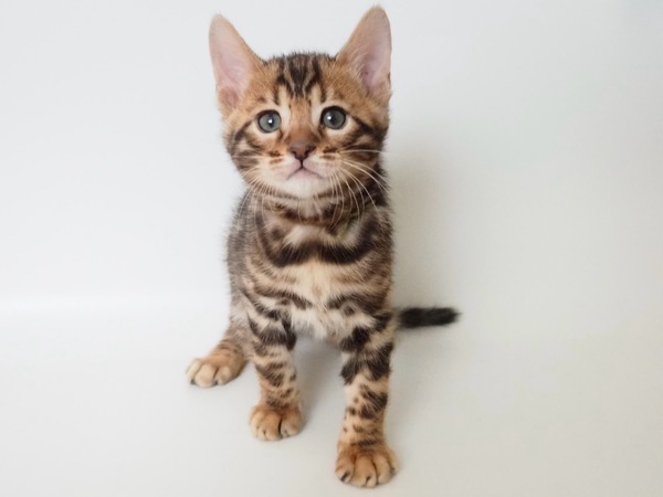 80E8F306-3914-4A55-8809-20850D9D9D28_コピー