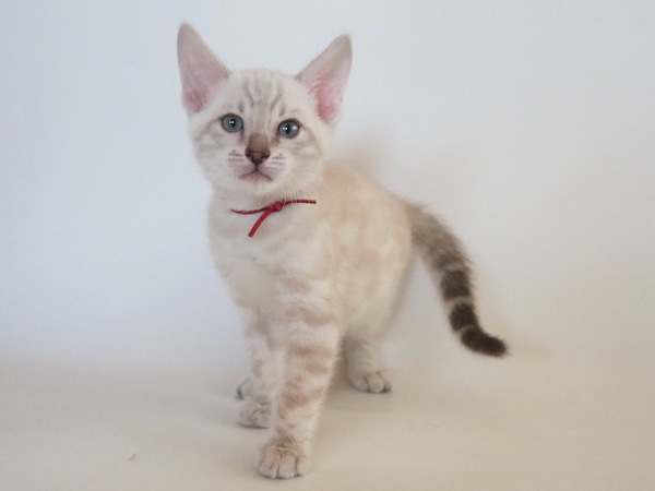 F0EE9514-19DA-49E0-BA91-8BA8A3299556_コピー