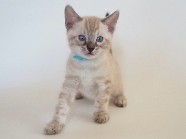 DBA96D7C-C87A-48C3-AEEB-76A8F9AE8027_コピー