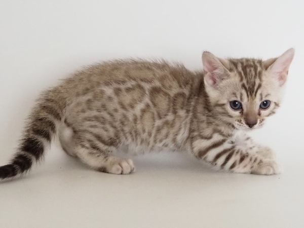 IMG_6107_コピー_コピー