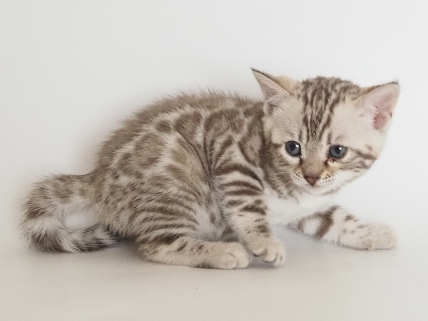 IMG_6126_コピー_コピー