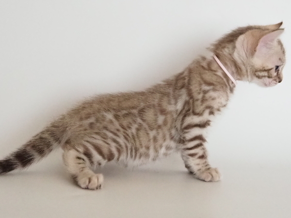 IMG_6128_コピー_コピー