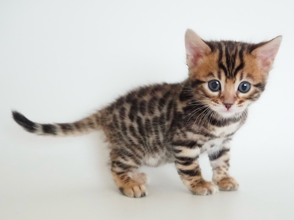 E5FAD956-2FED-4009-8A50-6B5F450978F9_コピー