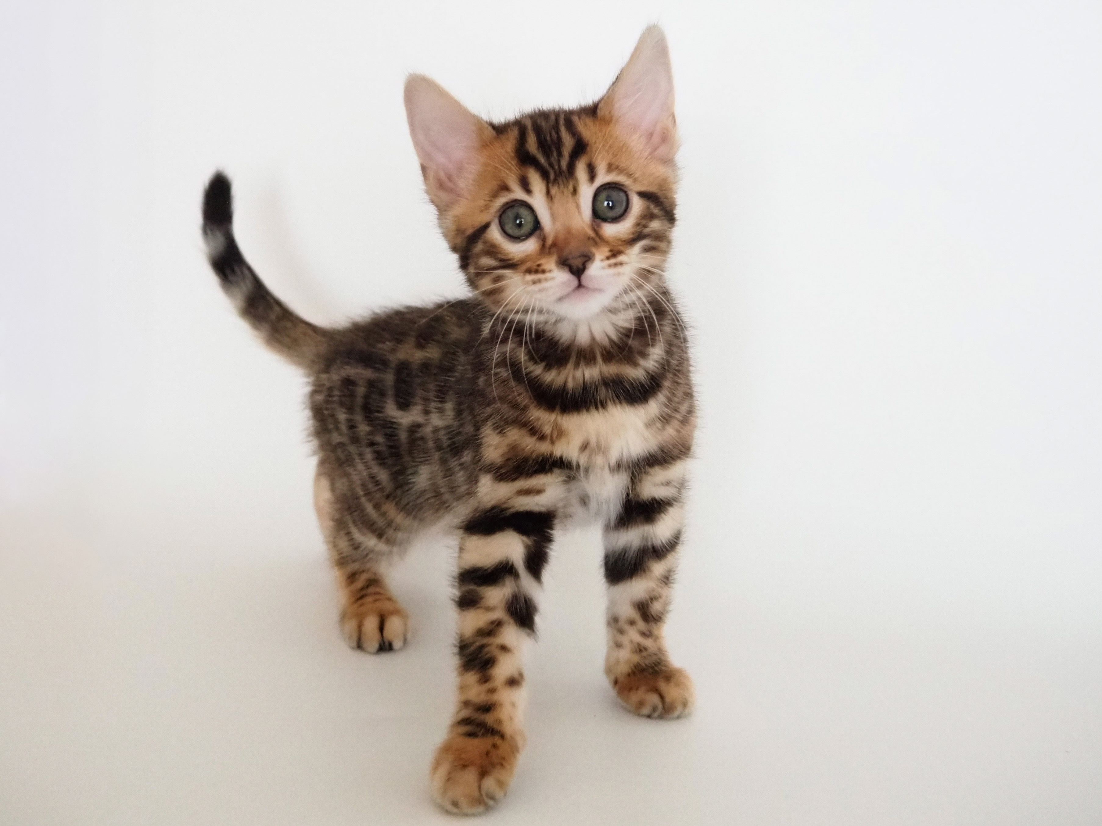 B4AB6616-7AC8-4DDC-BF7F-60F197DAEFA8