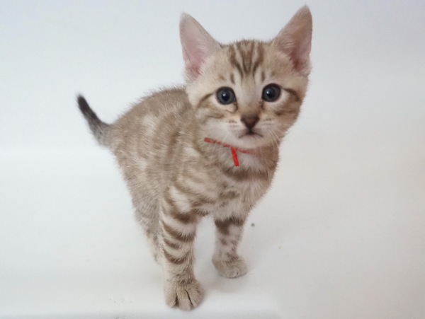 9DBAC2E1-05C2-4A23-B50E-2C7FBAC631D3_コピー