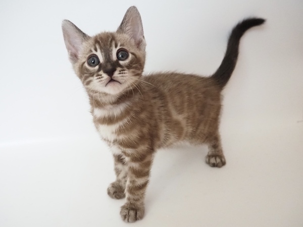 IMG_8249_コピー_コピー