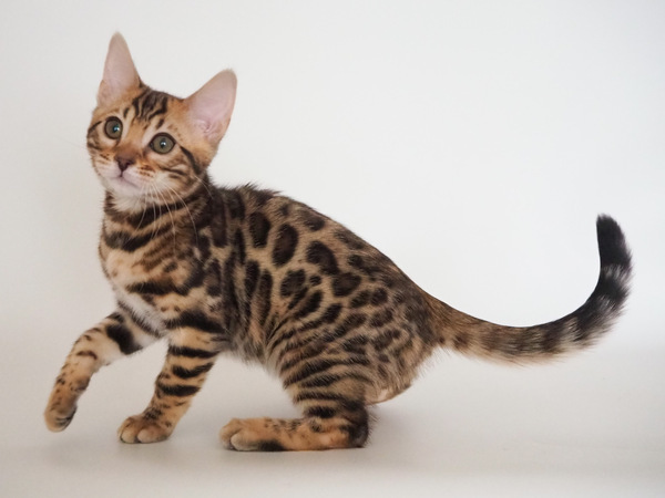 6F398224-1F79-4B4B-AAD5-A25A529B96B5_コピー