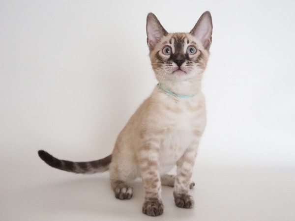 BB5CD46D-CE3E-4DE5-A87B-F5DE359C32E7_コピー