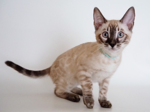 53480157-C3E0-458B-AD6E-38E502100CBB_コピー