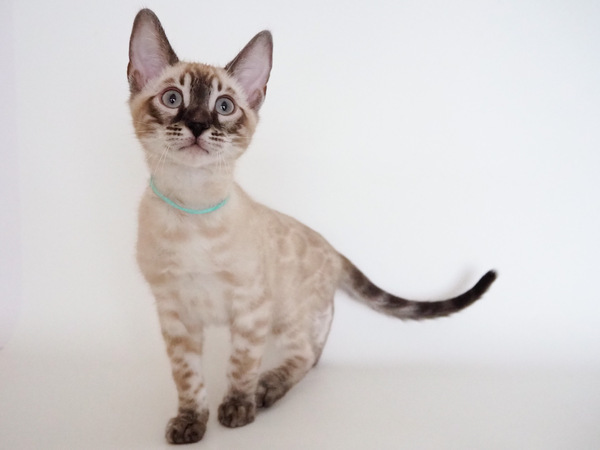 E513A04C-C157-4046-8CF2-36A9A81CD65F_コピー