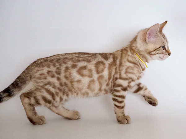 2C20BD30-624B-40F6-90AB-3AB503F45762_コピー