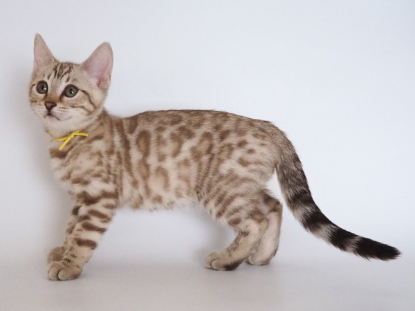 0E672D48-CA6F-404E-A267-F791D13AFA51_コピー