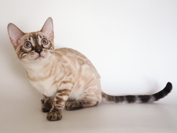 25155CA0-FE30-4F82-8EA0-7EAC41EF9B75_コピー