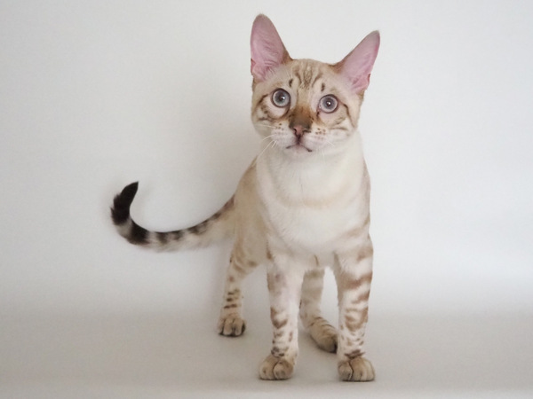 D63D7D6E-477B-479B-BEA8-32C53BA4B10A_コピー