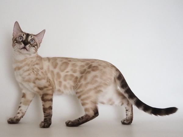 98A51619-0D0A-4CA4-978E-F8A58369C444_コピー_コピー