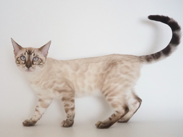 1BBCB5C1-C098-4886-834B-00B252ACE804_コピー